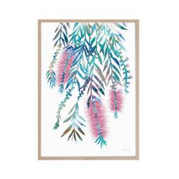 Pink Bottlebrush Print, Botanical, Living Room Art, Flower Painting, Australian Native, Native Wall Print Decor - thumbnail 2