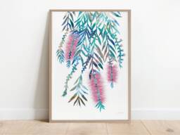 Pink Bottlebrush Print, Botanical, Living Room Art, Flower Painting, Australian Native, Native Wall Print Decor - thumbnail 1