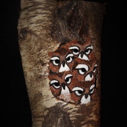 Owl Wood Carving Hand Carved & Sculpted Bird Art - Ooak - thumbnail 2