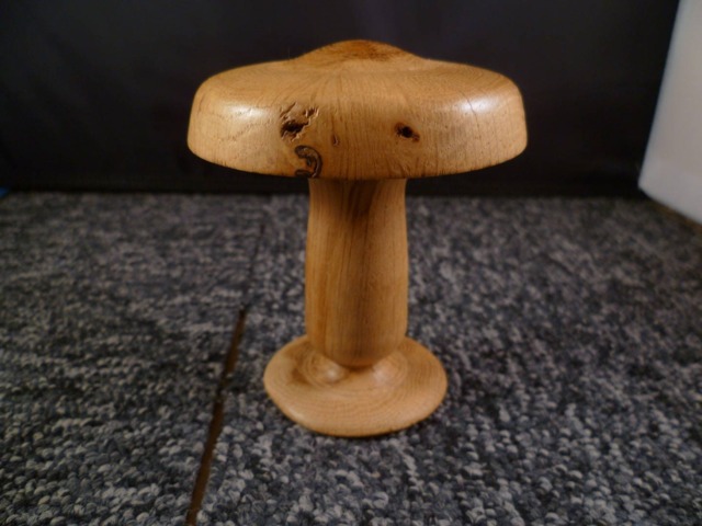 Oak Mushroom