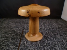 Oak Mushroom