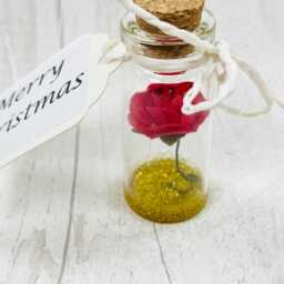 Miniature Christmas Rose in Bottle, Perfect Stocking Filler Or Little Gift For Xmas, Table Gift, Decoration, Bauble - thumbnail 2