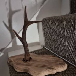 Antler Jewellery Holder Rustic Handmade - thumbnail 3