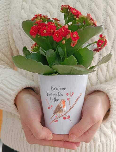 Robin Memorial Plant Pot - Personalised Flowerpot Ceramic Planter Robins Appear When Loved Ones Are Near Remembrance Gift - image 1
