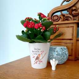 Robin Memorial Plant Pot - Personalised Flowerpot Ceramic Planter Robins Appear When Loved Ones Are Near Remembrance Gift - thumbnail 2