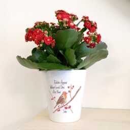 Robin Memorial Plant Pot - Personalised Flowerpot Ceramic Planter Robins Appear When Loved Ones Are Near Remembrance Gift - thumbnail 3