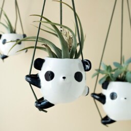Ceramic Panda Hanging Planter Pot For Small Plants. Unique Vase Handmade in Italy - thumbnail 2