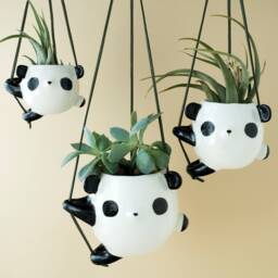 Ceramic Panda Hanging Planter Pot For Small Plants. Unique Vase Handmade in Italy - thumbnail 3