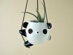 Ceramic Panda Hanging Planter Pot For Small Plants. Unique Vase Handmade in Italy - thumbnail 1