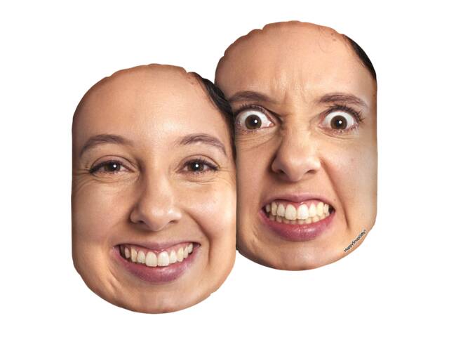 Two-Faced Face Cushion - image 1
