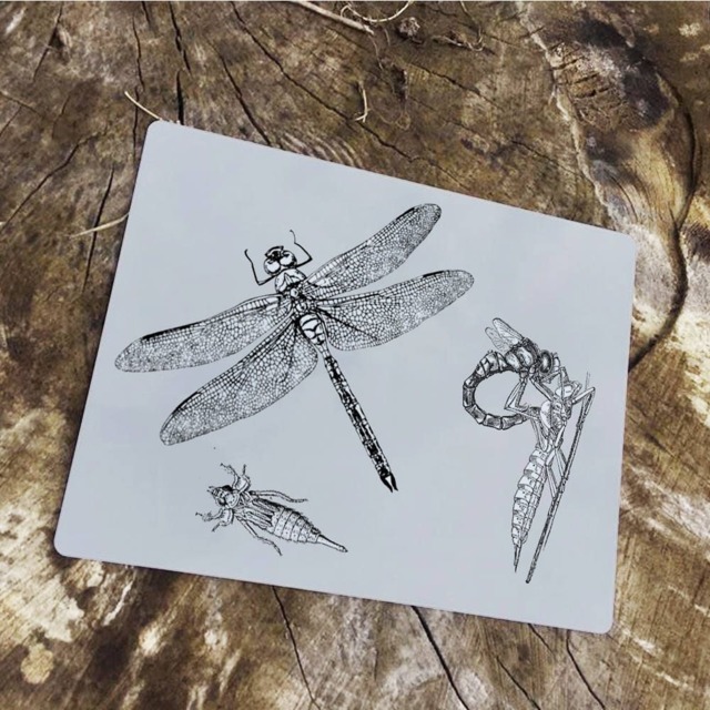 Dragonfly Nature Growning Up Enamel Metal Tin Sign Wall Plaque