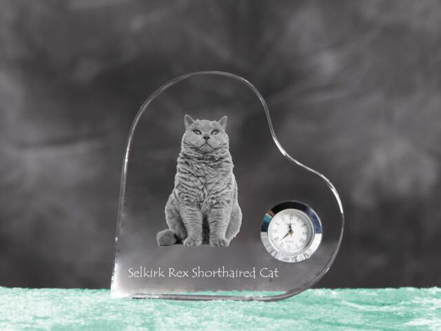 Selkirk Rex Shorthaired - Crystal Clock in The Shape Of A Heart With Image Pure-Bred Cat - image 1