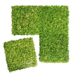 Moss Wall Panel With Moss Light Chrobotka On Dimension - thumbnail 3