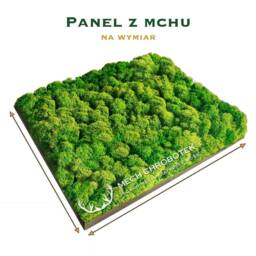 Moss Wall Panel With Moss Light Chrobotka On Dimension - thumbnail 1