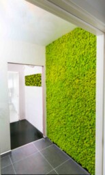 Moss Wall Panel With Moss Light Chrobotka On Dimension - thumbnail 2