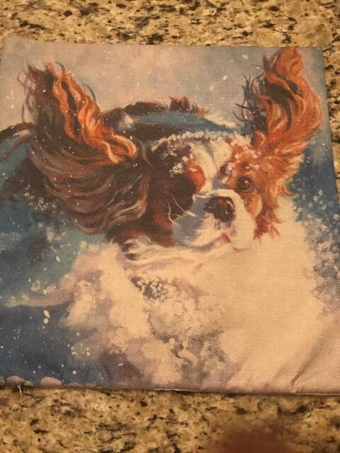 Snow Spaniel Pillow Case Cover - image 1