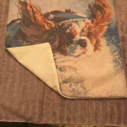 Snow Spaniel Pillow Case Cover - thumbnail 2