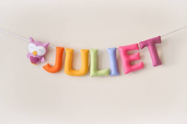 Felt Baby Name Sign Colorful Owl Nursery Decor - image 1