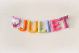 Felt Baby Name Sign Colorful Owl Nursery Decor - thumbnail 1