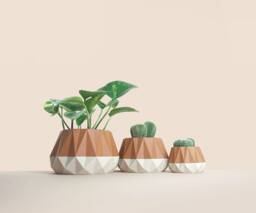 3D Printed Cactus, Succulent Planters , Mid Century Idea Gift For Home, Large Planter Pot - thumbnail 1