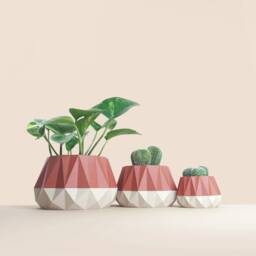 3D Printed Cactus, Succulent Planters , Mid Century Idea Gift For Home, Large Planter Pot - thumbnail 2