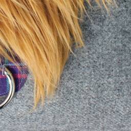 Handmade Highland Cow Cushion Lambswool, Faux Fur, Tartan - thumbnail 3