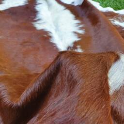 Extra Large Cowhide Rug Peau De Vache. Piel Vaca Cow Hide Skin - thumbnail 3