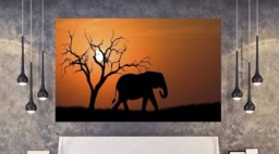 Painteeze Safari Painting Like Wall Decal, Sticker, Elephants Cfb 123