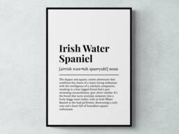 Irish Water Spaniel Funny Definition Dog Wall Art Print - thumbnail 1