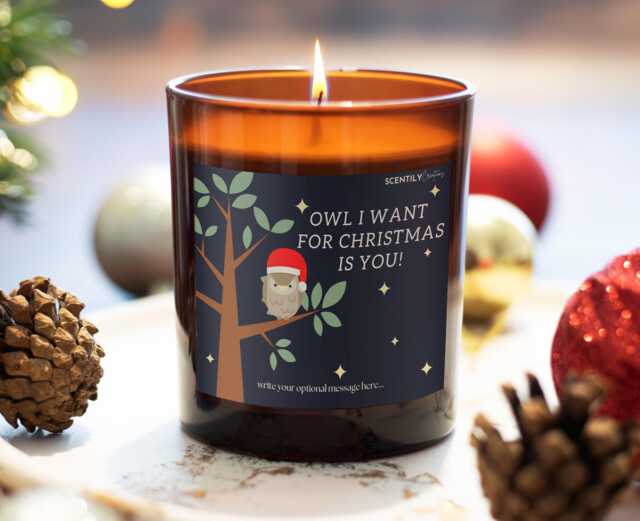 Funny Merry Christmas Candle Holidays Season Gift Personalised Wife Xmas Present Festive Scented Family Gifting - image 1