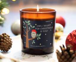 Funny Merry Christmas Candle Holidays Season Gift Personalised Wife Xmas Present Festive Scented Family Gifting
