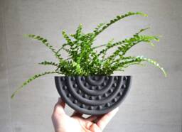 Mid Century Black Wood Finish Wall Planter Rounded Stud Design
