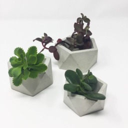 Gift For Mom Pot, Geometric Concrete Planters - Set Of 3, Icosahedron, Succulent Planter, Modern Cement Planter - thumbnail 4
