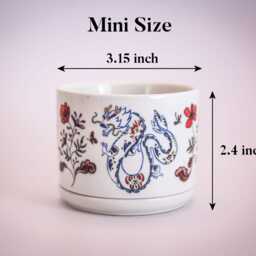 Mini Year Of The Dragon Ceramic Planter, Succulent Cactus Planter - thumbnail 4