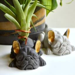 French Bulldog Airplant Holder With Painted Gold Ears - Decorative Object - thumbnail 3
