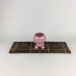Kiddie Ceramic Succulent Planter, Baby Shower Gift, Desk Decor - thumbnail 3