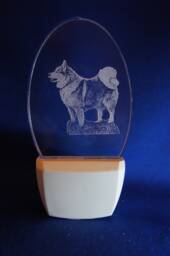 Icelandic Sheepdog Nightlight Etched On Clear Glass Like Acrylic Personalized Free By Deborah Houser 3 Light Color Options Wall Plug In - thumbnail 1