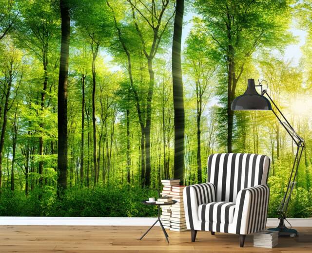 Sunbeam Through Trees Wall Mural, Rays Of Light in The Forest Nature Summer Forest Wallpaper, D??cor - image 1
