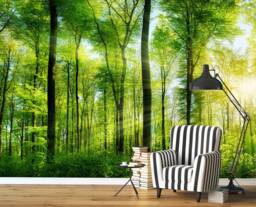 Sunbeam Through Trees Wall Mural, Rays Of Light in The Forest Nature Summer Forest Wallpaper, D??cor - thumbnail 1