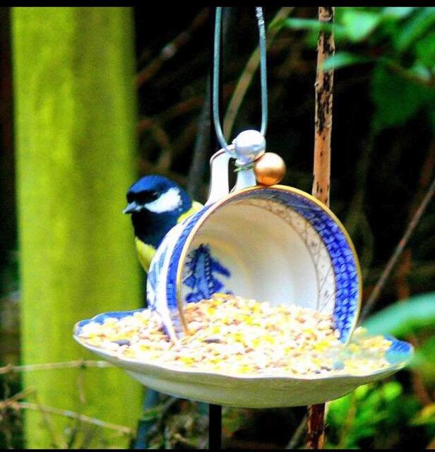 Free Postage Tea Cup Bird Feeder, Drilled & Bolted, Ideal For Gifts New Ones Made - image 1