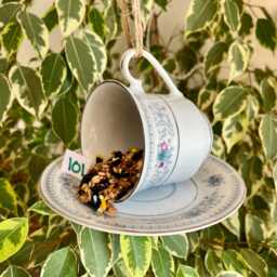 Tea Cup Bird Feeder, Drilled & Bolted, Ideal For Gifts New Ones Made - thumbnail 4