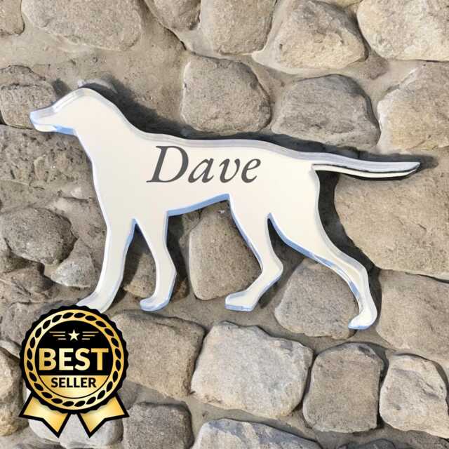 Custom Dog Breed Acrylic Mirror Personalized Pet Memorial, Garden Decor - image 1