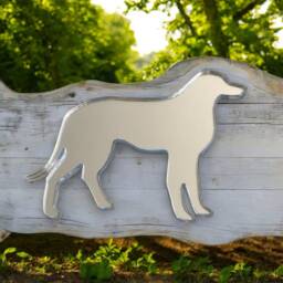 Custom Dog Breed Acrylic Mirror Personalized Pet Memorial, Garden Decor - thumbnail 2