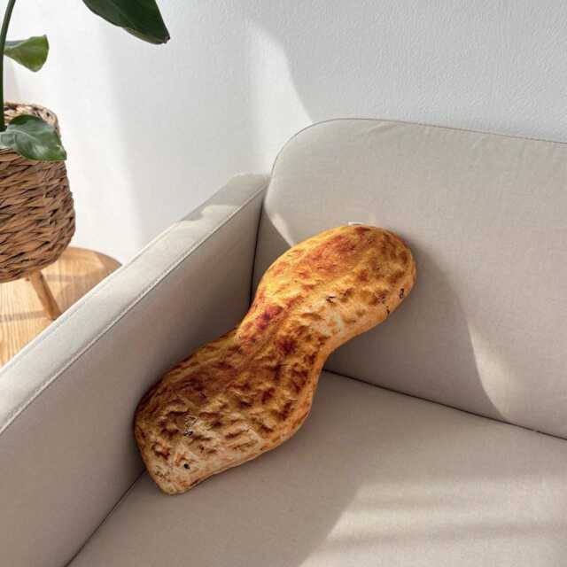 Realistic Peanut Pillow, Handmade Plush Nut Cushion, Food Pillow - image 1