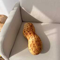 Realistic Peanut Pillow, Handmade Plush Nut Cushion, Food Pillow - thumbnail 4