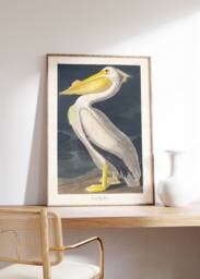 Vintage Print, White Pelican, James Audobon Poster, Wall Art, Home Decor, Wildlife Giclee Museum Antique Bird Retro Art - thumbnail 1