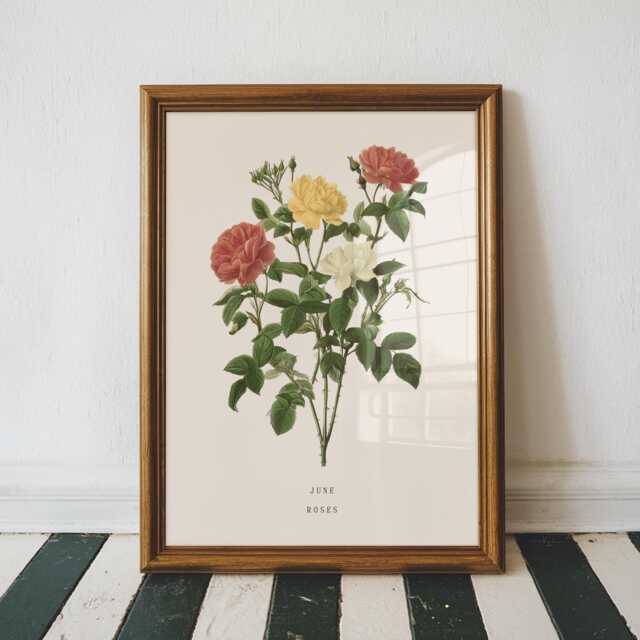 June Rose Birth Flower Print - Vintage Botanical Wall Art, Birthday Gift For Her - image 1
