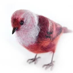 The Felted Bird - Pink-Headed Warbler Lifelike Felting Animal. Birdwatching Perfect Gift. Faux Taxidermy. Ornitologist Gift.christmas Gift - thumbnail 4