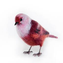 The Felted Bird - Pink-Headed Warbler Lifelike Felting Animal. Birdwatching Perfect Gift. Faux Taxidermy. Ornitologist Gift.christmas Gift - thumbnail 3