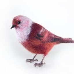 The Felted Bird - Pink-Headed Warbler Lifelike Felting Animal. Birdwatching Perfect Gift. Faux Taxidermy. Ornitologist Gift.christmas Gift - thumbnail 2